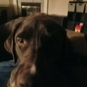 Meet your Posher, Scott